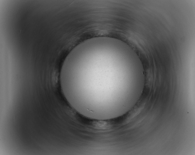 X0000091900230200709261703