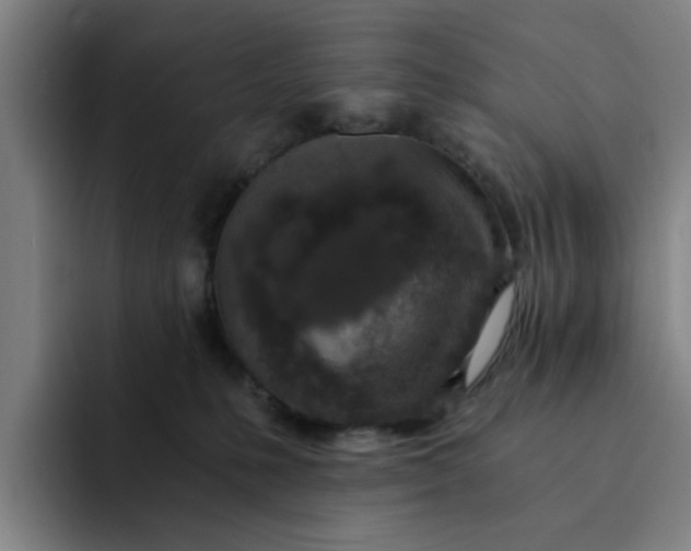 X0000091900231200709261703