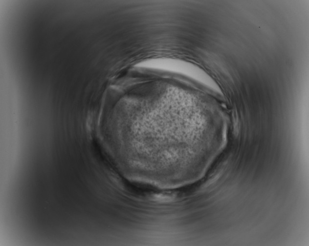 X0000091900232200709261703