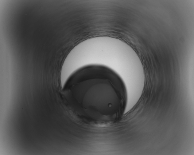 X0000091900235200709261703