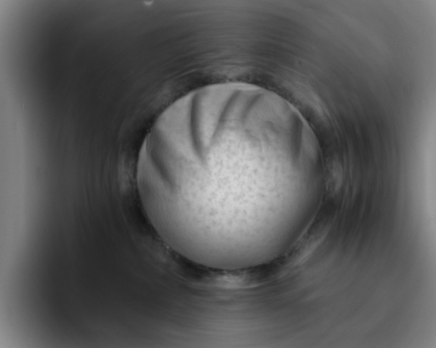 X0000091900236200709261703