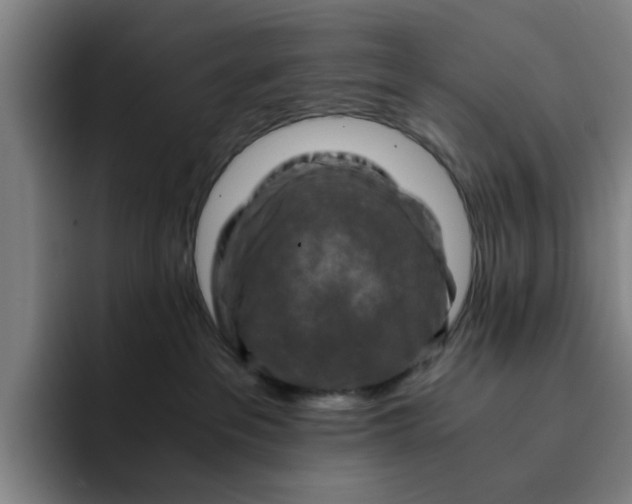 X0000091900237200709261703