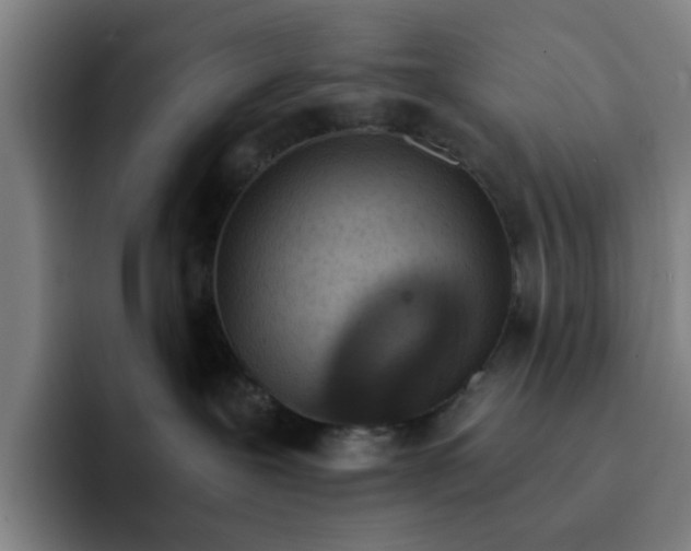 X0000091900239200709261703