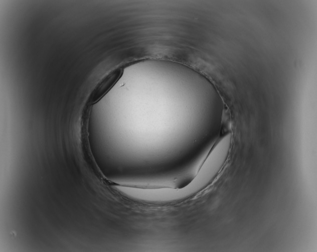 X0000091900242200709261703