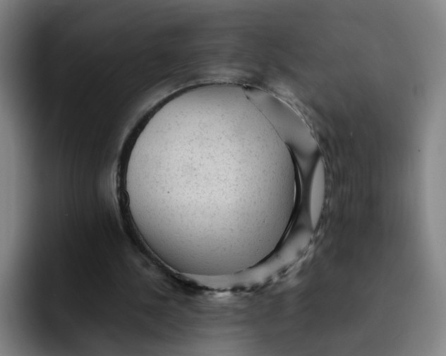 X0000091900244200709261703