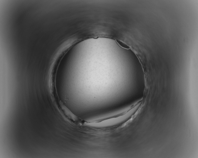 X0000091900245200709261703