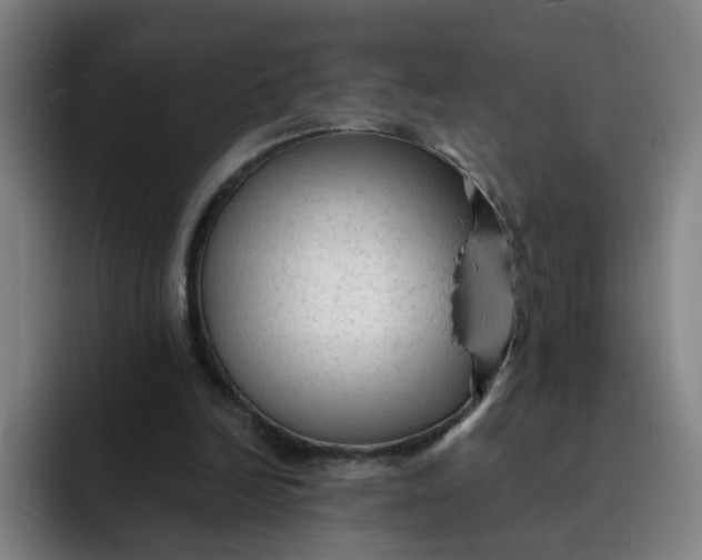 X0000091900246200709261703