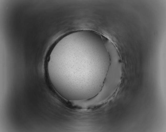 X0000091900248200709261703