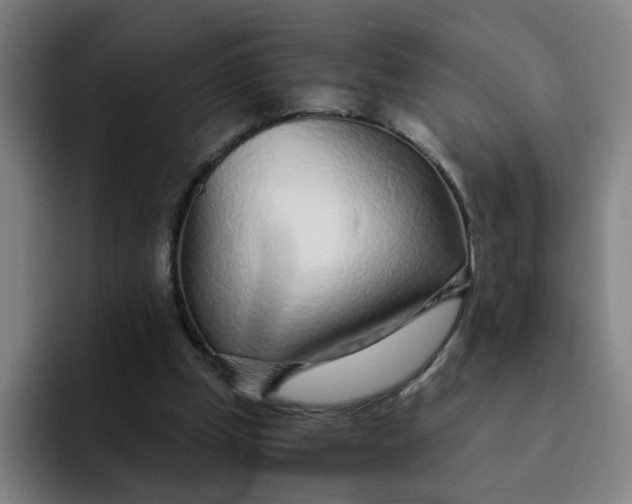 X0000091900249200709261703