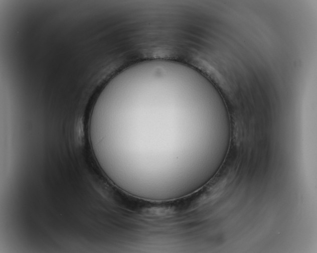 X0000091900251200709261703