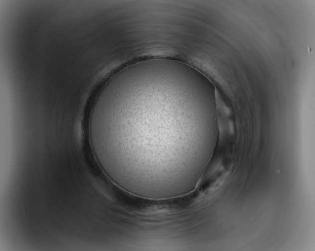 X0000091900252200709261703