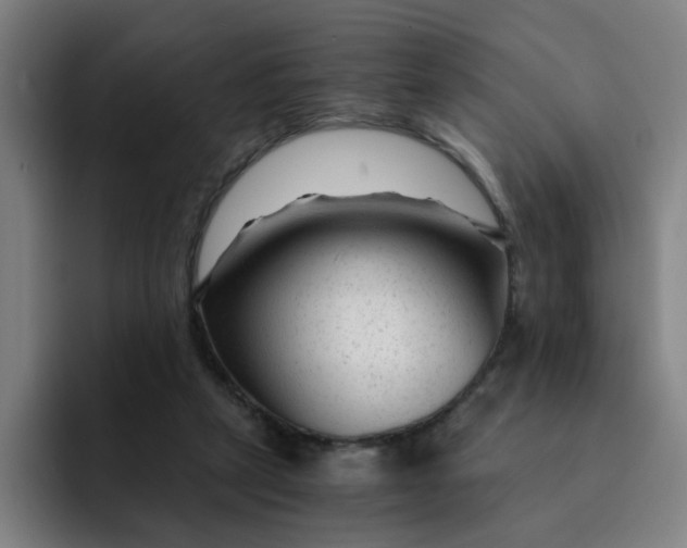 X0000091900257200709261703