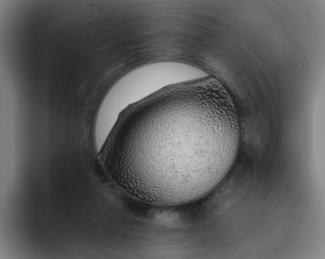 X0000091900258200709261703