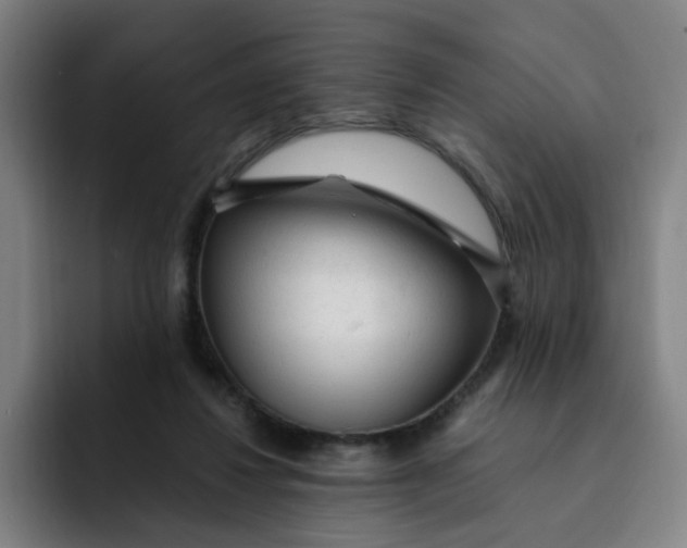 X0000091900260200709261703