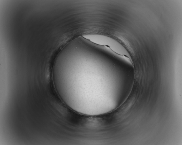 X0000091900261200709261703