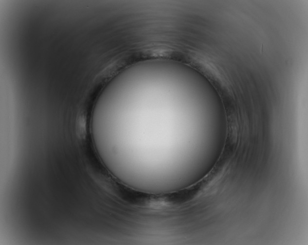 X0000091900262200709261703