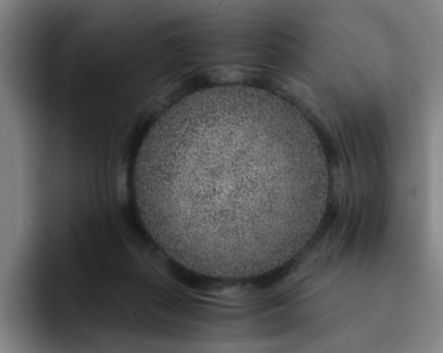 X0000091900267200709261703