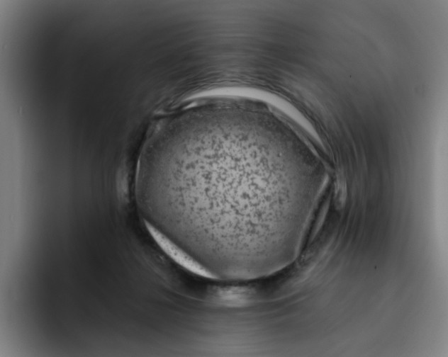 X0000091900268200709261703