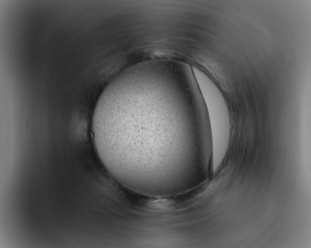 X0000091900269200709261703