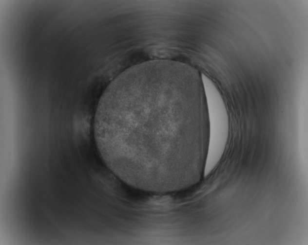 X0000091900271200709261703