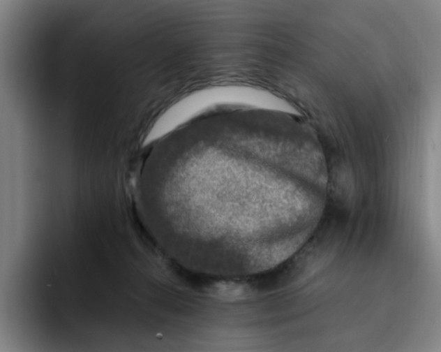 X0000091900272200709261703