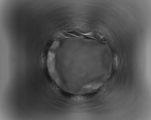 X0000091900276200709261703