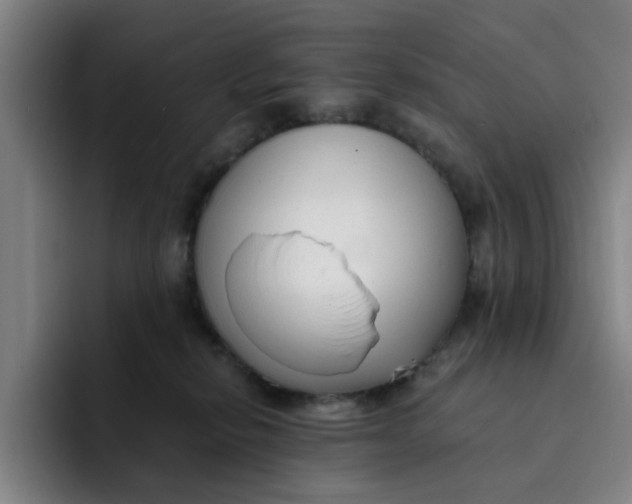 X0000091900278200709261703