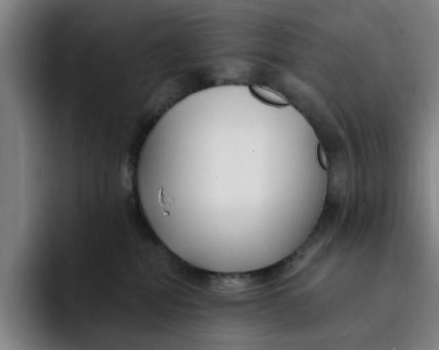 X0000091900282200709261703