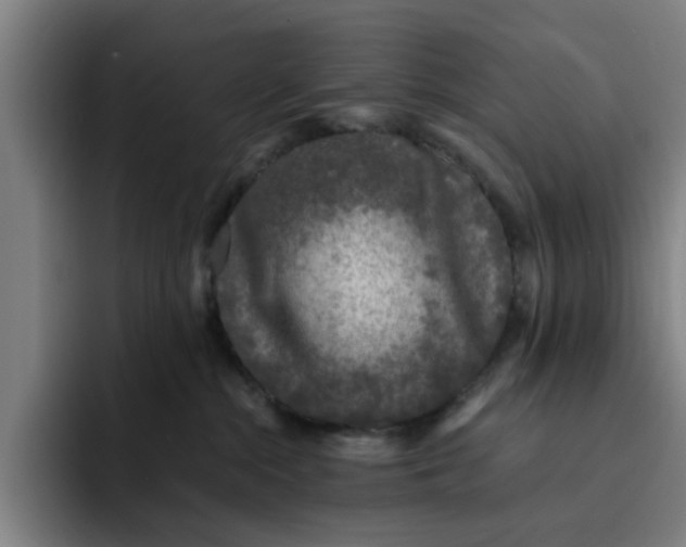 X0000091900284200709261703