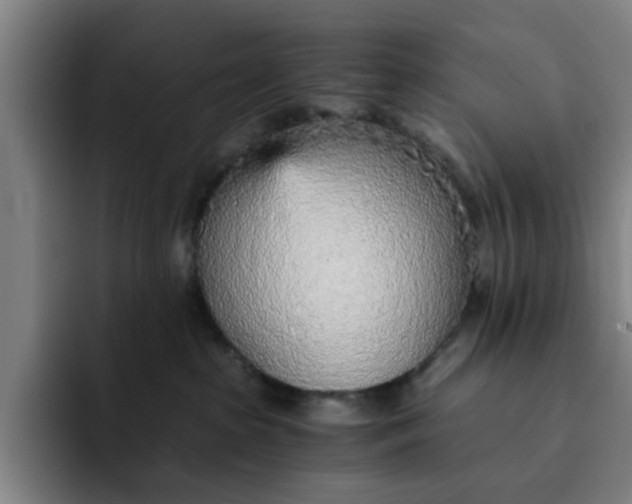 X0000091900285200709261703