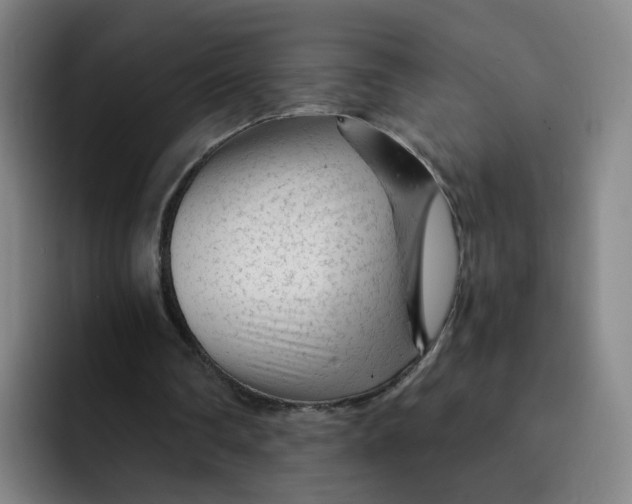 X0000091900290200709261703