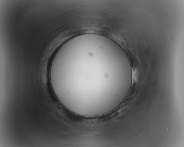 X0000091900291200709261703