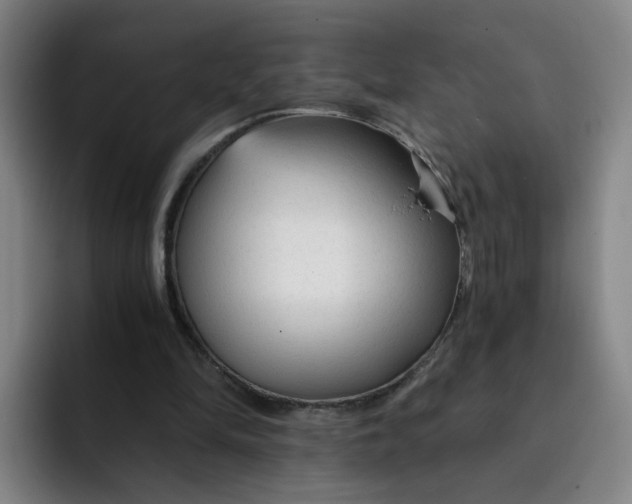 X0000091900294200709261702