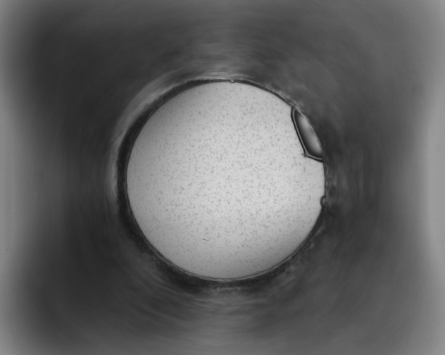 X0000091900296200709261702