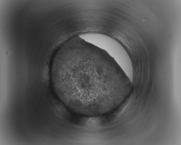 X0000091900303200709261702