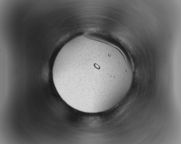 X0000091900304200709261702