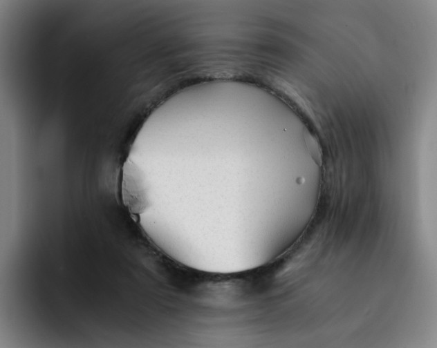 X0000091900307200709261702