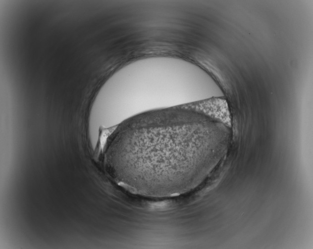 X0000091900309200709261702