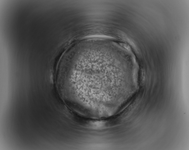 X0000091900313200709261702