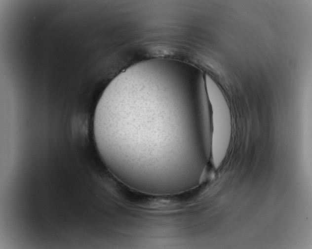 X0000091900315200709261702