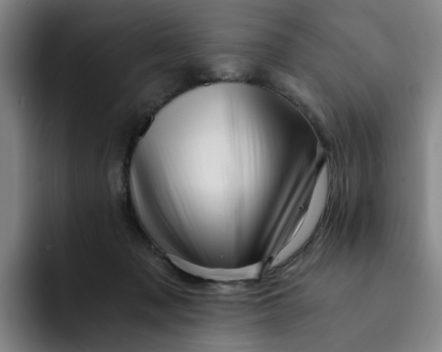 X0000091900317200709261702