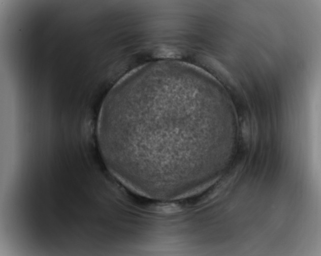 X0000091900322200709261702