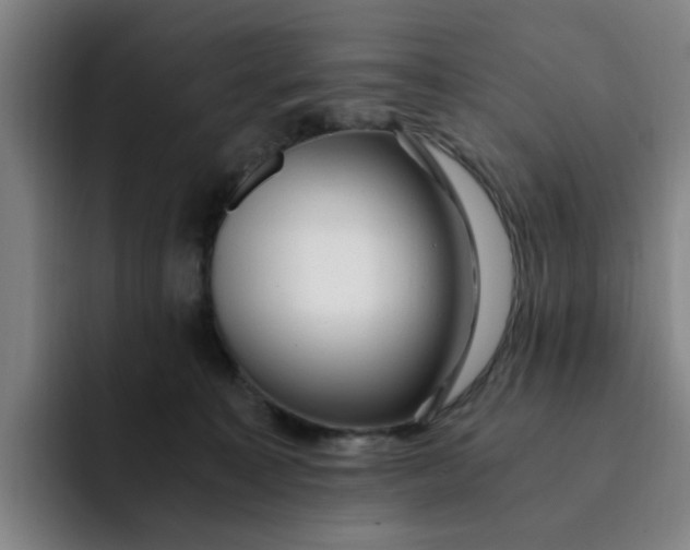 X0000091900323200709261702