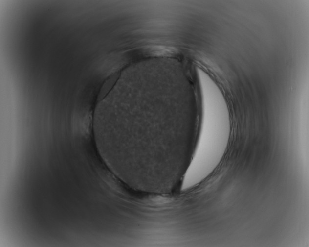 X0000091900325200709261702