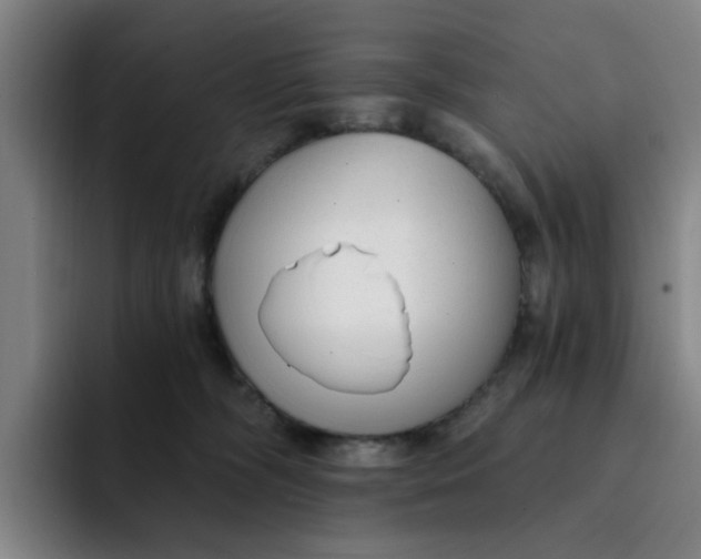 X0000091900326200709261702