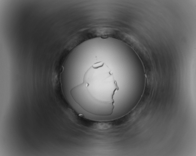 X0000091900327200709261702