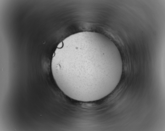 X0000091900332200709261702