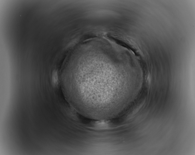 X0000091900335200709261702