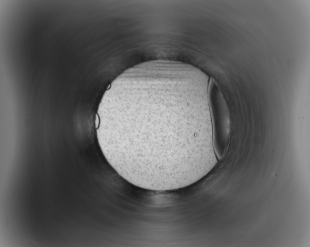 X0000091900336200709261702