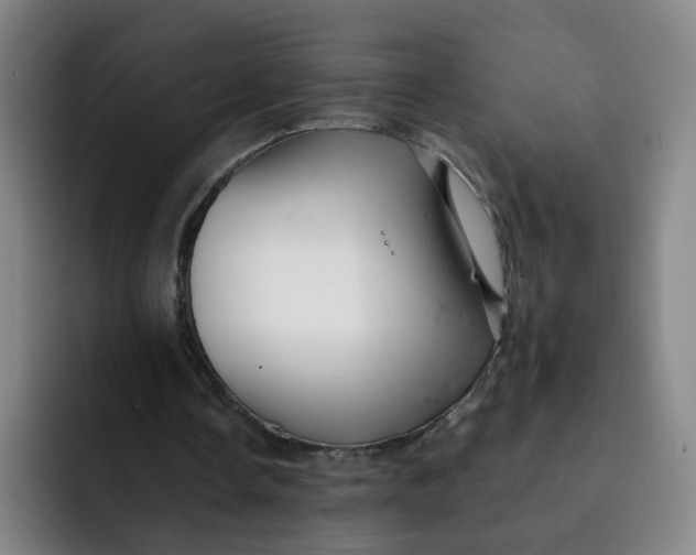 X0000091900338200709261701